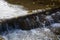 Atmospheric scene with small waterfall with swimming leaves