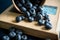 Atmospheric shot of ripe blueberries on the old book. Selective focus. Shallow depth of field