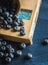 Atmospheric shot of ripe blueberries on the old book. Selective focus. Shallow depth of field