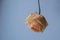 Atmospheric toned photo of the fallen withering rose on the single color background. Broken heart concept.