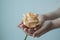 Atmospheric toned photo of the feamale hands holding withering rose on the single color background. Care concept.