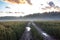 Atmospheric view of a rural road through a rye field