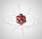 Atom. Elementary particle 3D. Nuclear physics