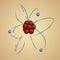 Atom: nucleus and electrons in orbital, vector illustration