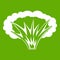 Atomical explosion icon green