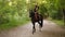 Atractive woman riding beautiful brown horse in park. Beautiful female rider sitting in saddle on stallion and walking