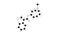 atropine molecule, structural chemical formula, ball-and-stick model, isolated image tropane alkaloid