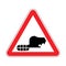 Attention Beaver. Warning red road sign. Caution River rodent
