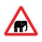 Attention Elephant. Caution African animal. Red road sign Danger