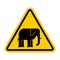 Attention Elephant. Caution African animal. Yellow road sign Dan