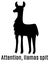 Attention llama split, silhouette of a llama and an inscription about careful behavior