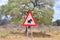 Attention Warthog Road Sign in Namibia Africa