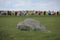 Attraction, Stonehenge on Salisbury plain Wiltshire in England.