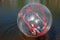 Attraction on the water, ZORB, the boy in a bowl on the water. Water attractions, rest, vacation, vacation