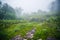 Attractions at Phu Hin Rong Kla National Park Landscape Beautiful on Mountain  nature in the rain forest. travel nature, Travel