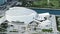 Attractive aerial view of phillip and patricia frost museum of science on biscayne blvd.,sunny isles beach,miami