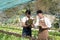 Attractive agriculturists harvesting green oak and lettuce together at green house farm. Asian farmers work in