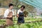 Attractive agriculturists harvesting green oak and lettuce together at green house farm. Asian farmers work in