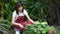 Attractive asian woman in apron gardener planting flowers in garden . young florist gardening