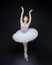 Attractive ballerina poses gracefully in the studio on a black background