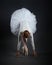 Attractive ballerina stands on her fingertips. photo shoot in the studio on a dark background
