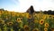 Attractive carefree girl walking on meadow with yellow blooming sunflowers and bright sun flare at background. Scenic