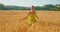 Attractive carefree woman happy runs walking through a field touching with hands wheat ears. Girl enjoying nature at