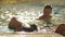 Attractive couple swimming in the pool in european hotel. Man is looking exciting at girl. Blonde woman on the edge of