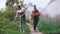 Attractive couple work near greenhouse. Man gardener in apron collect garbage in garden while his wife talking him