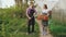 Attractive couple work near greenhouse. Man gardener in apron collect garbage in garden while his wife talking him