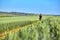 Attractive cyclist riding mountain bicyclist in the summer green field.