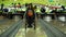 Attractive disabled girl in a wheelchair having fun in the bowling, moving by the bowling line