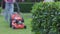 Attractive female gardener using lawn mower on backyard at summer.