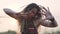 Attractive hippie woman with dreadlocks at sunset having good time and dance outdoors