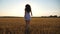 Attractive joyful woman in white dress running through field of wheat at sunset. Follow to young carefree girl enjoying