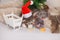 Attractive kitten in a santa hat with little rats. cat mice with white bed rocking chair and cheese. cute animals