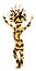 Attractive lady in animal print king cheetah, or leopard costume. Pretty woman dance.