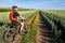 Attractive one cyclist on mountainbike on path near green fields in the countryside in the summer season.