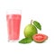 Attractive red guava juice vector for design,