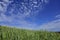 Attractive Sky and Beach Grass on Sandy Shore of South West Scotland