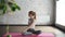 Attractive slim blonde is practicing yoga doing twist poses, bending to side then relaxing in lotus position with hands