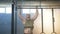 Attractive sport man doing pull ups in gym.