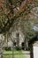 Attractive stone house beneath flowering cherry tree