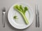 Attractive and stylish table: white dishes, fresh celery and trendy minimalism