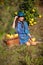 Attractive woman with full basket colecting fruits posing at plantation of quinces