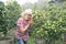 Attractive woman in hat looking at plant in nursery with smile