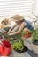 Attractive woman potting up nursery seedlings