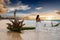 Attractive woman stands next to a driftwood tree on a caribbean beach