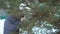 Attractive woman vigorously saws pine branches in her snowy winter garden for Merry Christmas and Happy New Year