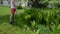 Attractive woman watering ferns with hand sprayer sprinkler tool